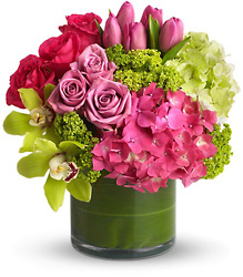 New Sensations from Clermont Florist & Wine Shop, flower shop in Clermont